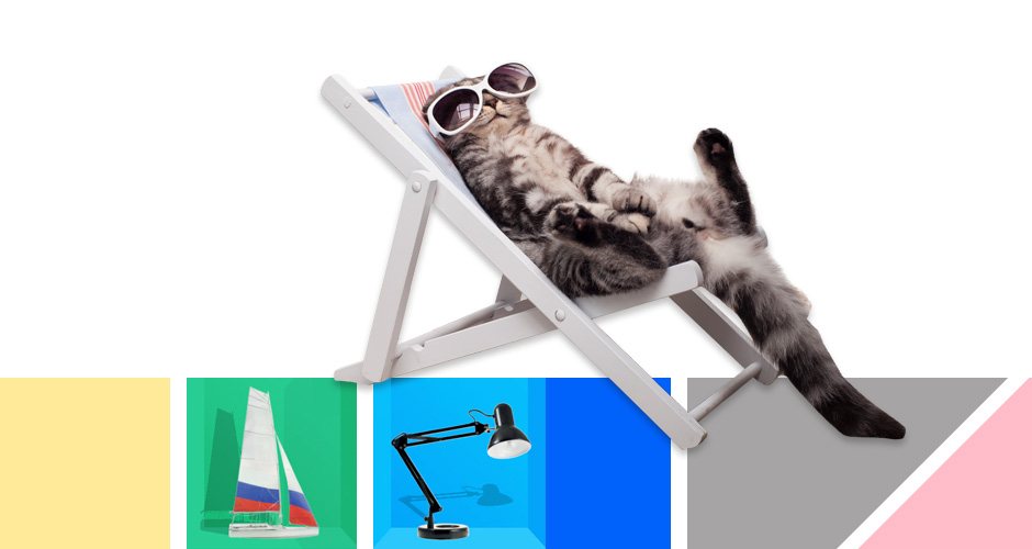 Katt med solbriller som ligger i en stol og koser seg