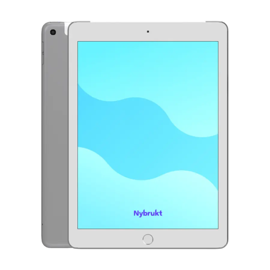 iPad 9.7" (2017) (5.gen)